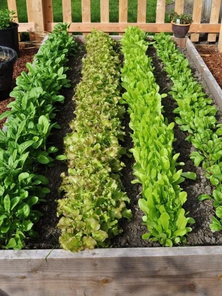 Custom yard cleanup service for outdoor upgrades in East Patchogue, NY by 4 Seasons Lawn Maintenance