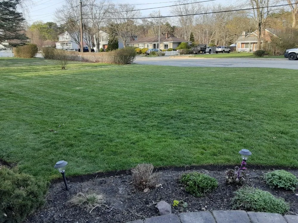 Local yard maintenance for beautiful yards in East Patchogue, NY by 4 Seasons Lawn Maintenance