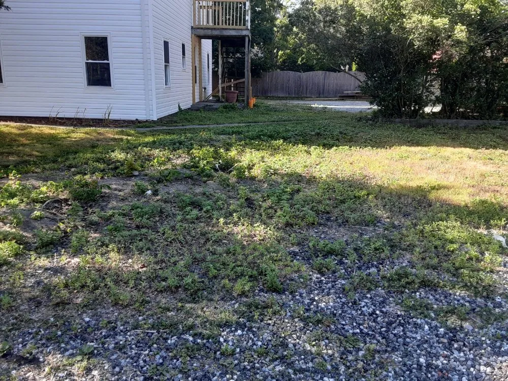 Affordable garden landscaping in East Patchogue, NY - 4 Seasons Lawn Maintenance