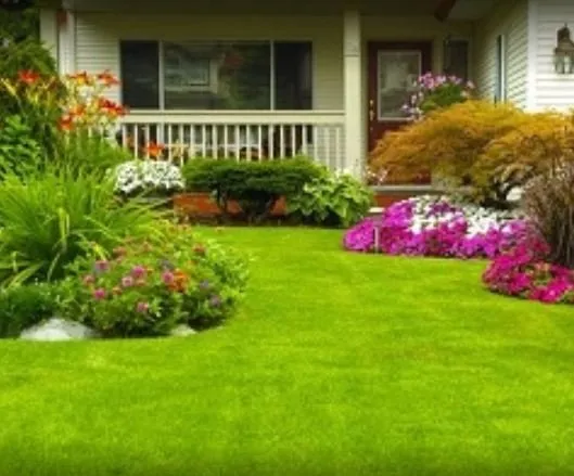 Professional landscape design near you in Mt. Pleasant, SC by 4 Seasons Lawn Maintenance