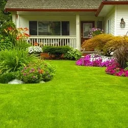 Professional lawn mowing service in Mt. Pleasant, SC - 4 Seasons Lawn Maintenance