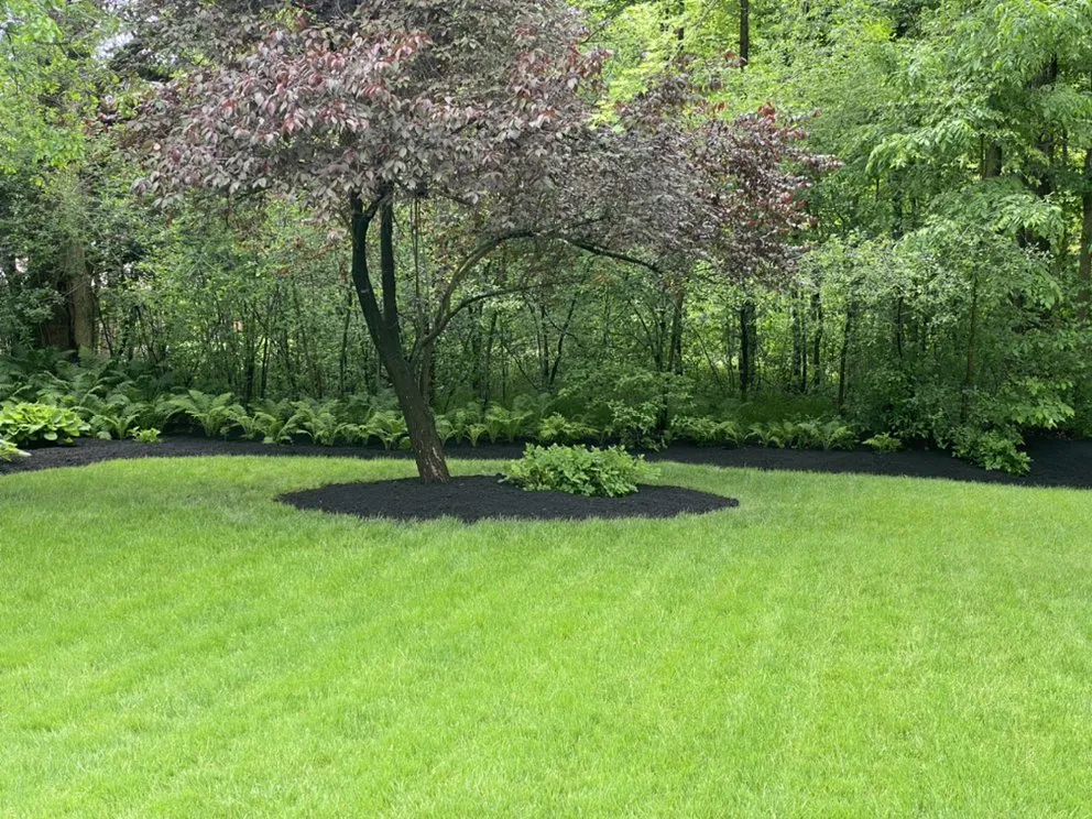 Professional yard maintenance for beautiful yards in Berea, OH by 4 Seasons Lawncare