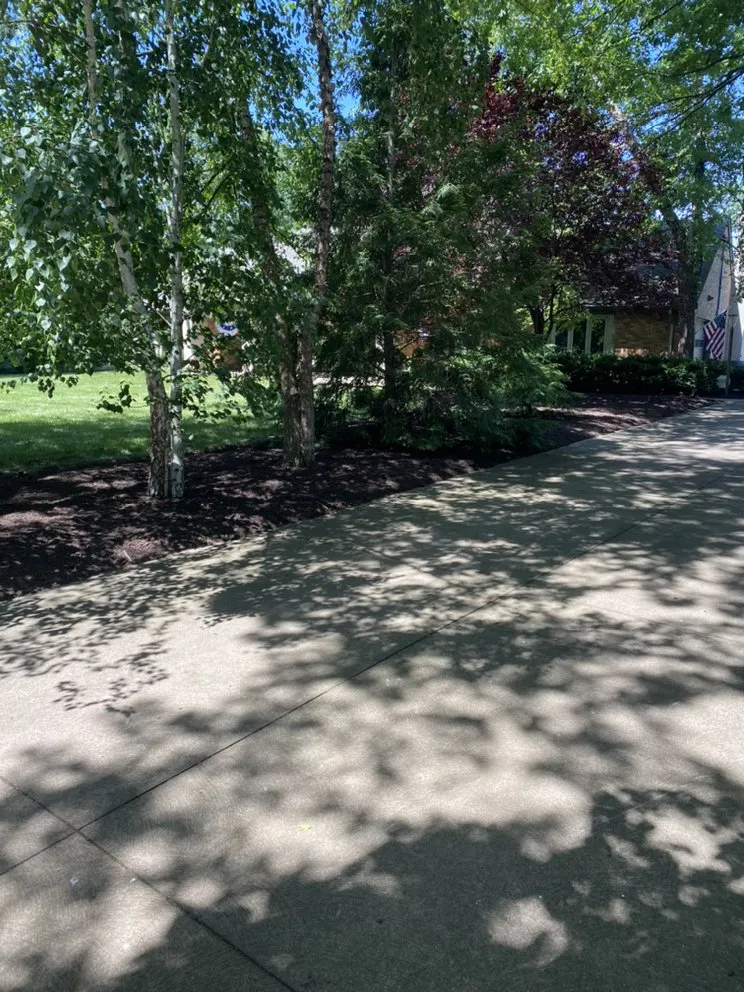 Expert landscaping services in Berea, OH by 4 Seasons Lawncare