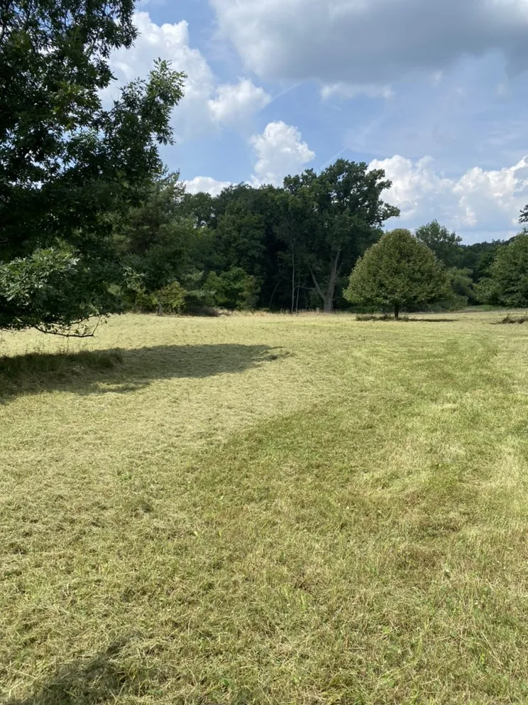 Trusted yard cleanup service in Berea, OH by 4 Seasons Lawncare