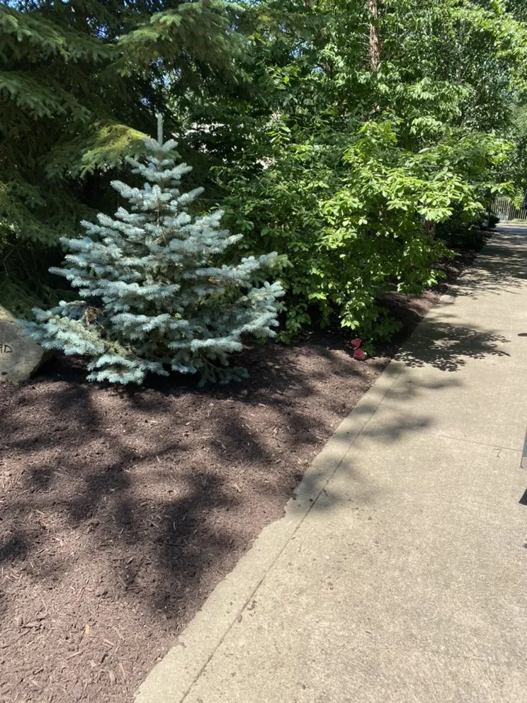 Expert residential landscaping in Berea, OH - 4 Seasons Lawncare