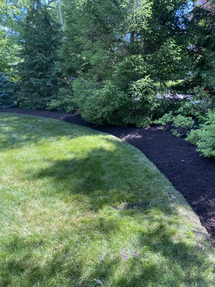 Trusted lawn care service in Berea, OH - 4 Seasons Lawncare