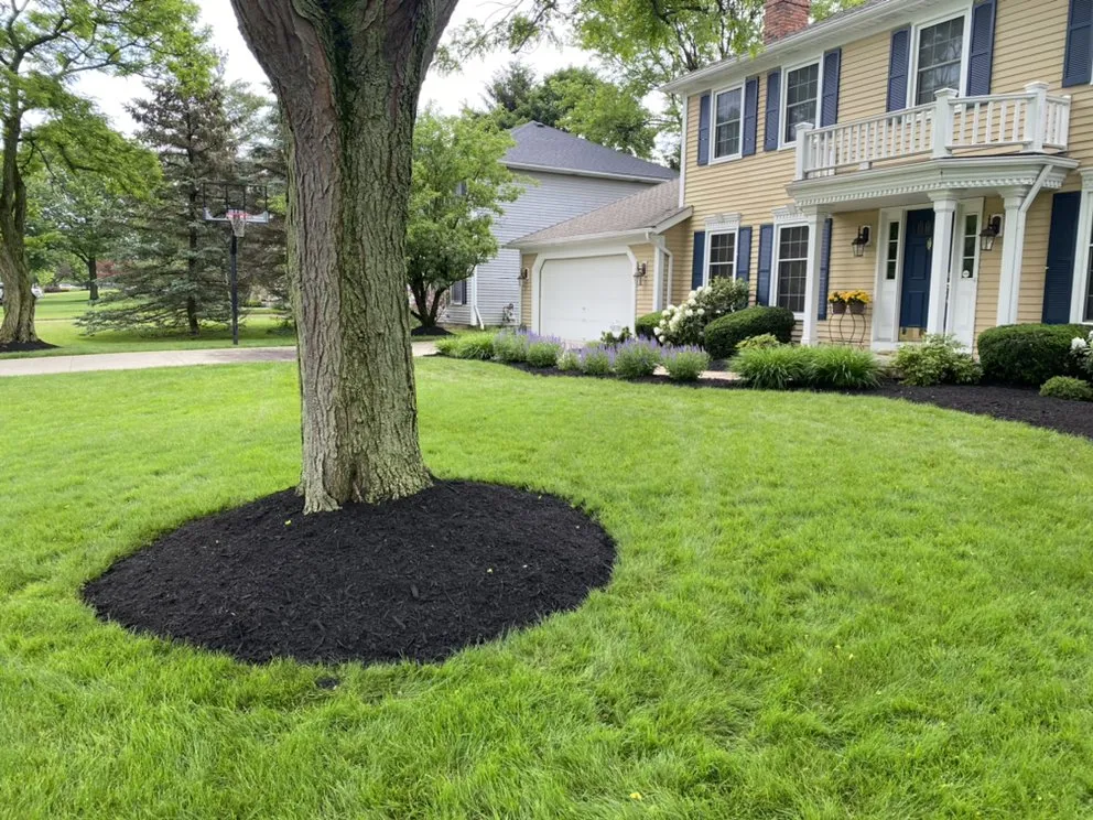 Top-rated outdoor landscaping in Berea, OH by 4 Seasons Lawncare