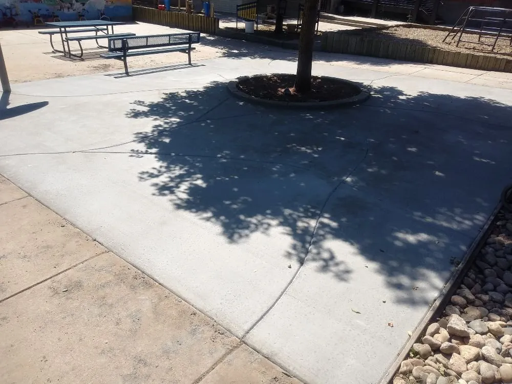 Custom landscape installation for beautiful yards across Fort Collins, CO - 4 Seasons Maintenance