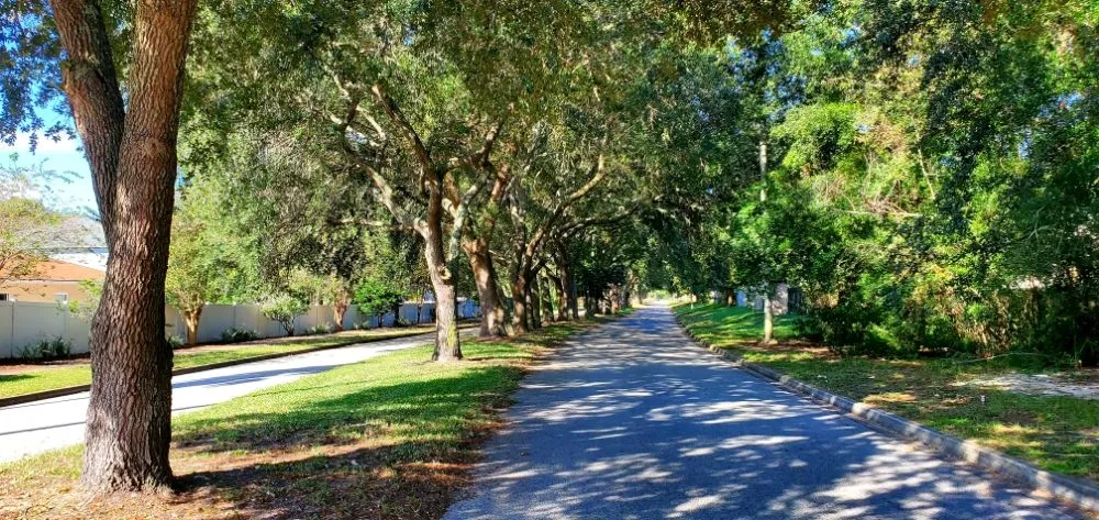 Top-rated outdoor landscaping in Atlantic Beach, FL - 4 Seasons Maintenance Group