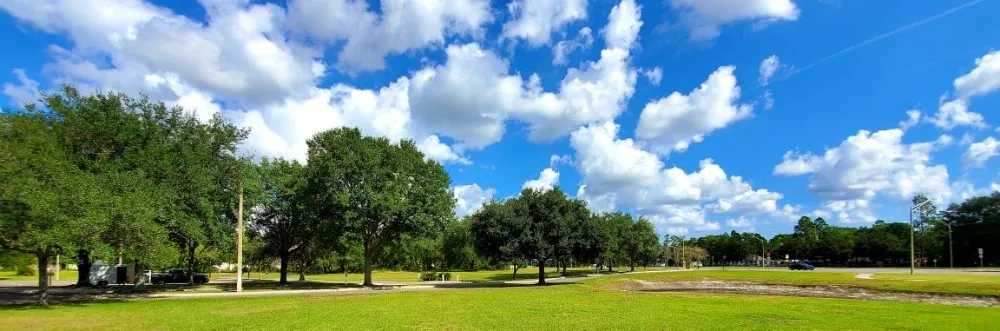 Local residential landscaping for year-round maintenance in Atlantic Beach, FL by 4 Seasons Maintenance Group