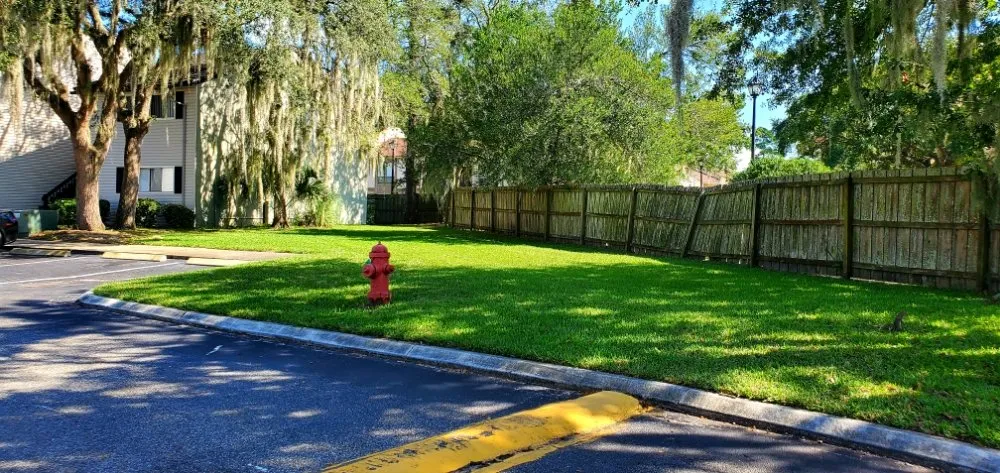 Local landscaping services for homes in Atlantic Beach, FL by 4 Seasons Maintenance Group