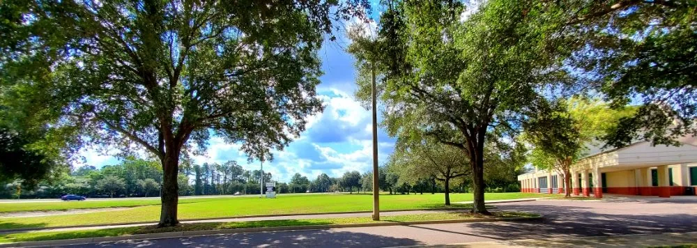 Top-rated lawn care service with custom design in Atlantic Beach, FL by 4 Seasons Maintenance Group