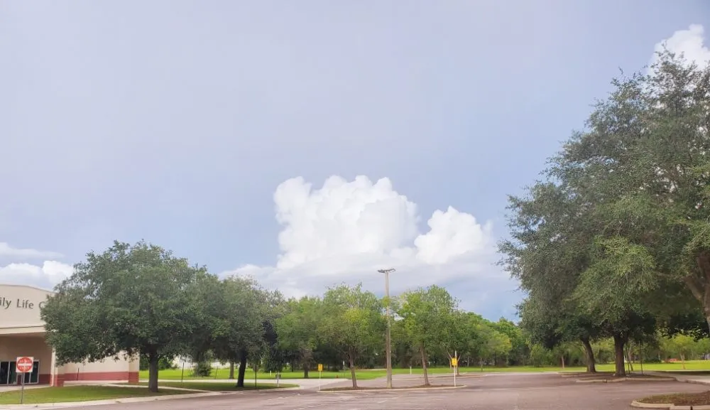 Affordable lawn mowing service in Atlantic Beach, FL - 4 Seasons Maintenance Group