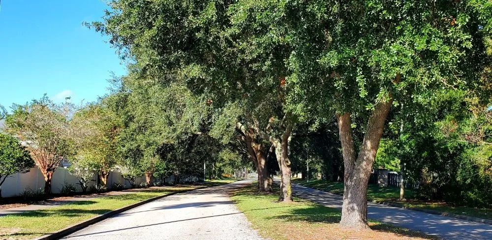 Custom residential landscaping experts serving Atlantic Beach, FL - 4 Seasons Maintenance Group