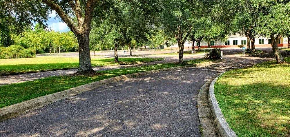 Professional yard cleanup service in Atlantic Beach, FL - 4 Seasons Maintenance Group