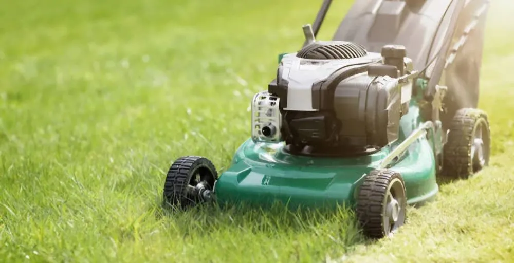 Reliable landscaping services in Houma, LA by 4 Seasons Mowing