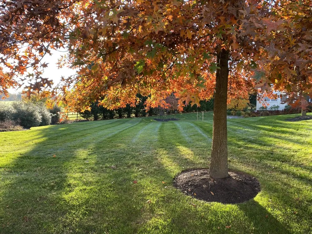 Affordable landscape installation in Silver Spring, MD - 4 Seasons Outdoor Care
