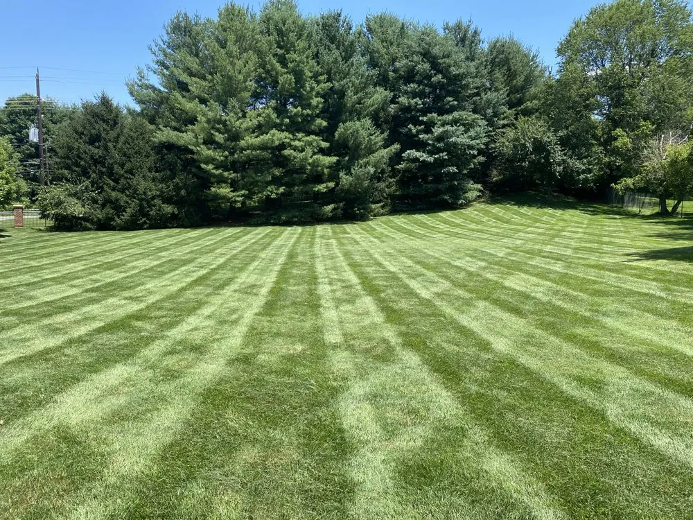 Local yard maintenance for outdoor upgrades across Silver Spring, MD - 4 Seasons Outdoor Care