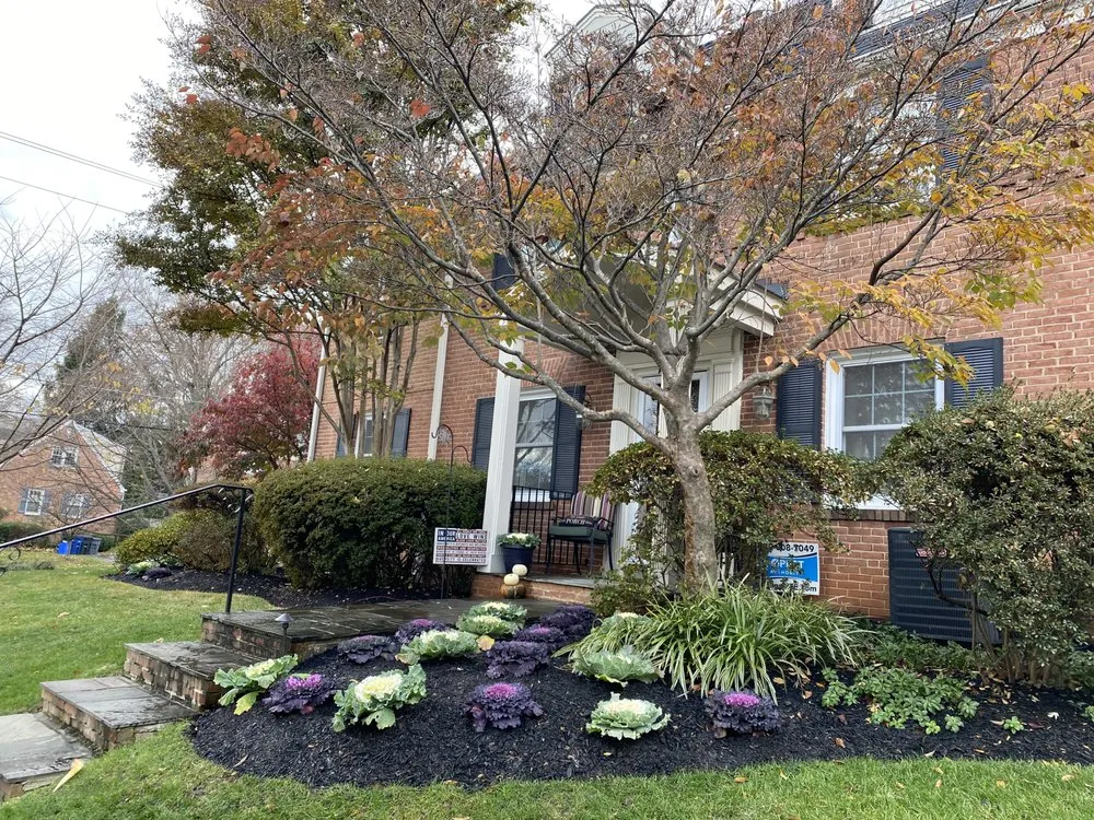 Affordable residential landscaping experts serving Silver Spring, MD - 4 Seasons Outdoor Care