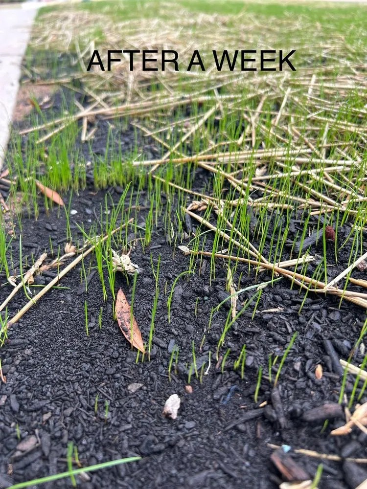 Trusted landscape installation in Silver Spring, MD - 4 Seasons Outdoor Care