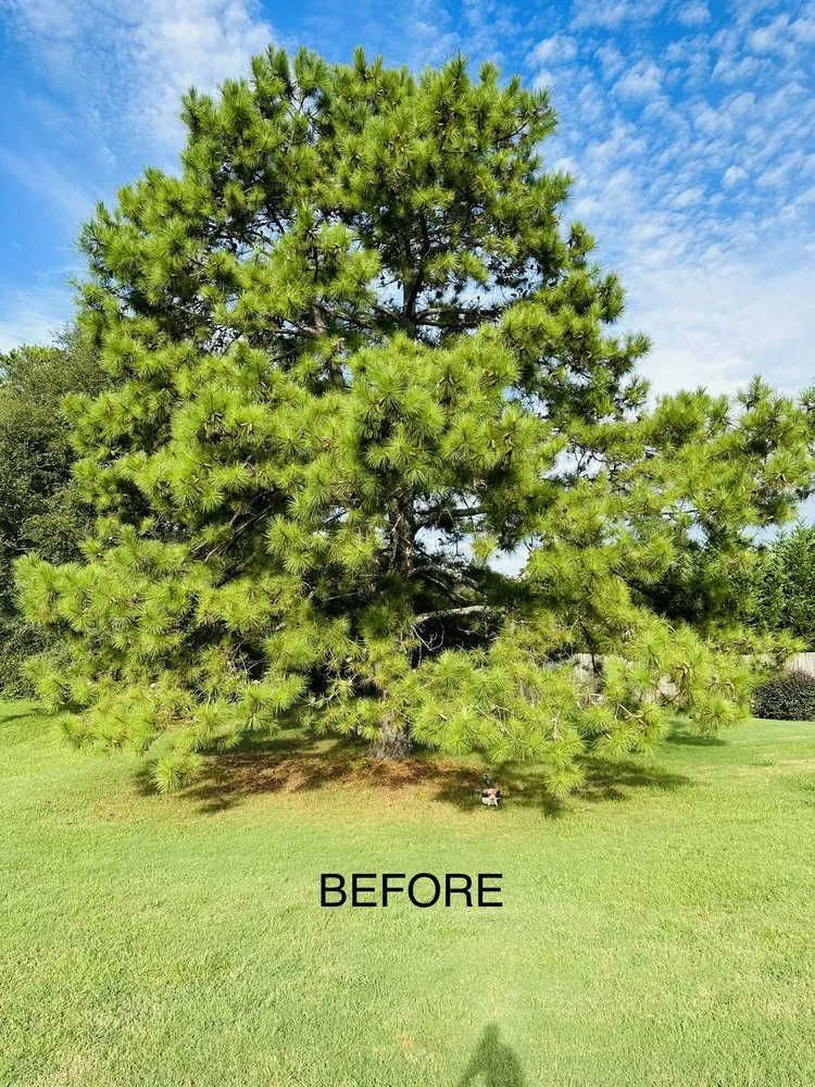 Expert landscape design experts serving McDonough, GA - 4 Seasons Outdoor