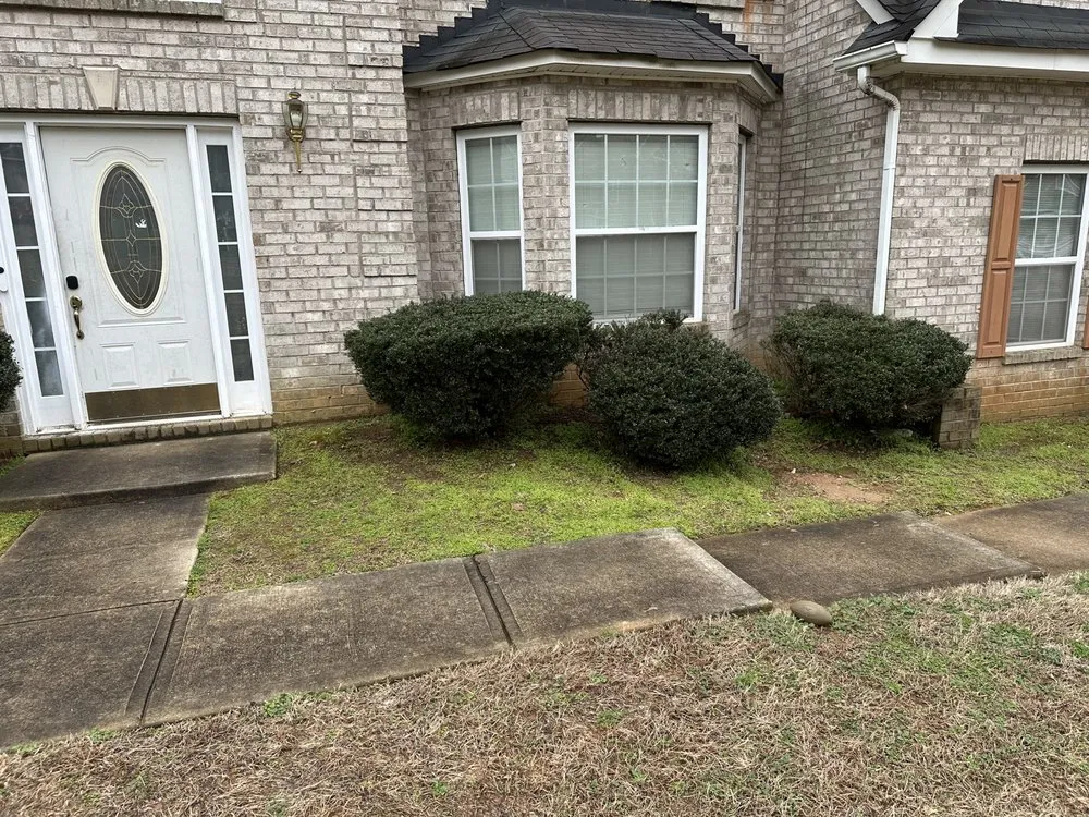 Local yard maintenance for homes across McDonough, GA - 4 Seasons Outdoor