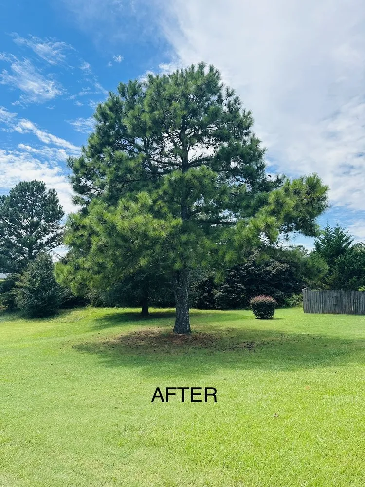 Affordable yard maintenance in McDonough, GA - 4 Seasons Outdoor