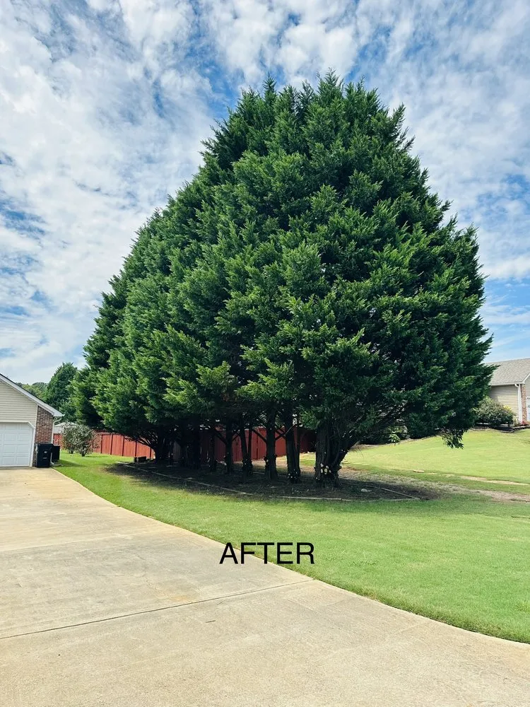 Custom landscaping services in McDonough, GA by 4 Seasons Outdoor