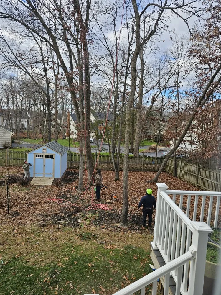 Affordable lawn mowing service in Warrenton, VA - 4 Seasons Outdoor Services