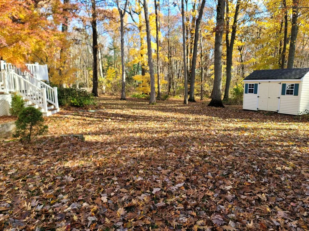 Local yard maintenance experts serving Vernon, CT - 4 Seasons Property Maintenance