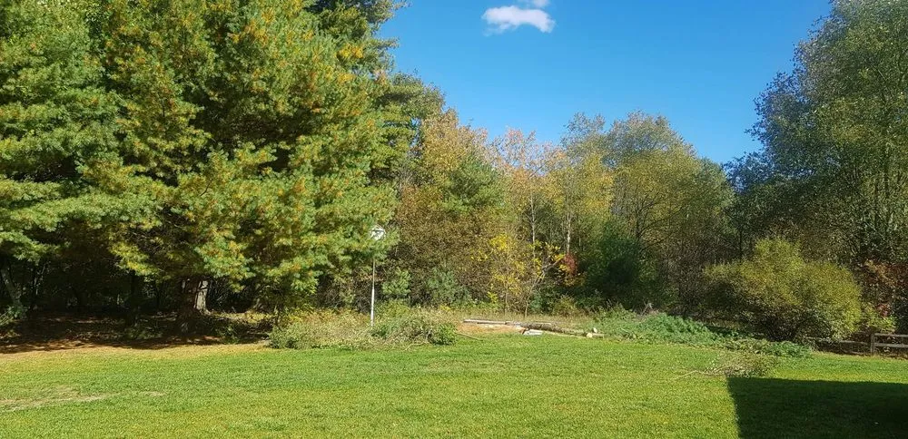 Local lawn care service for outdoor upgrades across Mount Pleasant, MI - 4 Seasons Property Solutions