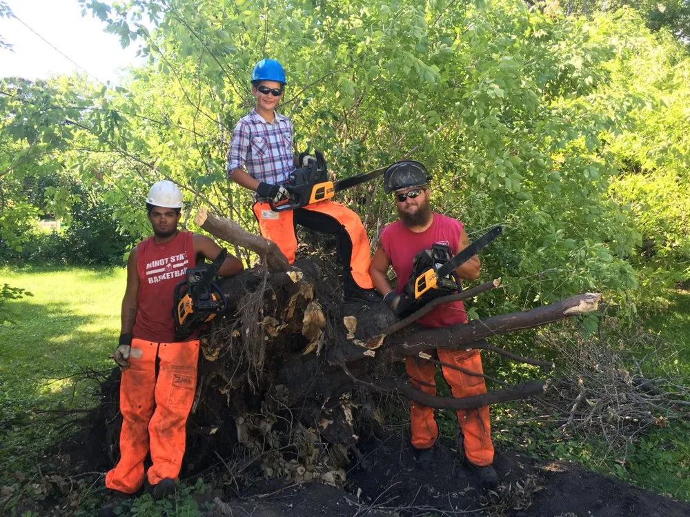 Trusted lawn mowing service in Wilton, ND - 4 Seasons Tree and Yard Services