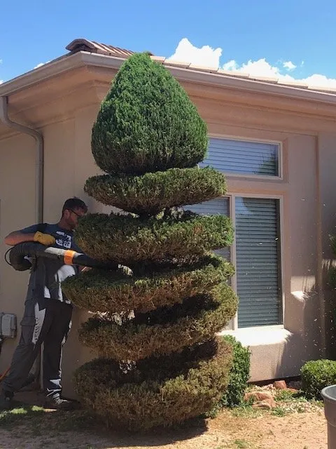 Custom landscaping services in St. George, UT - 4-Seasons Yard Care