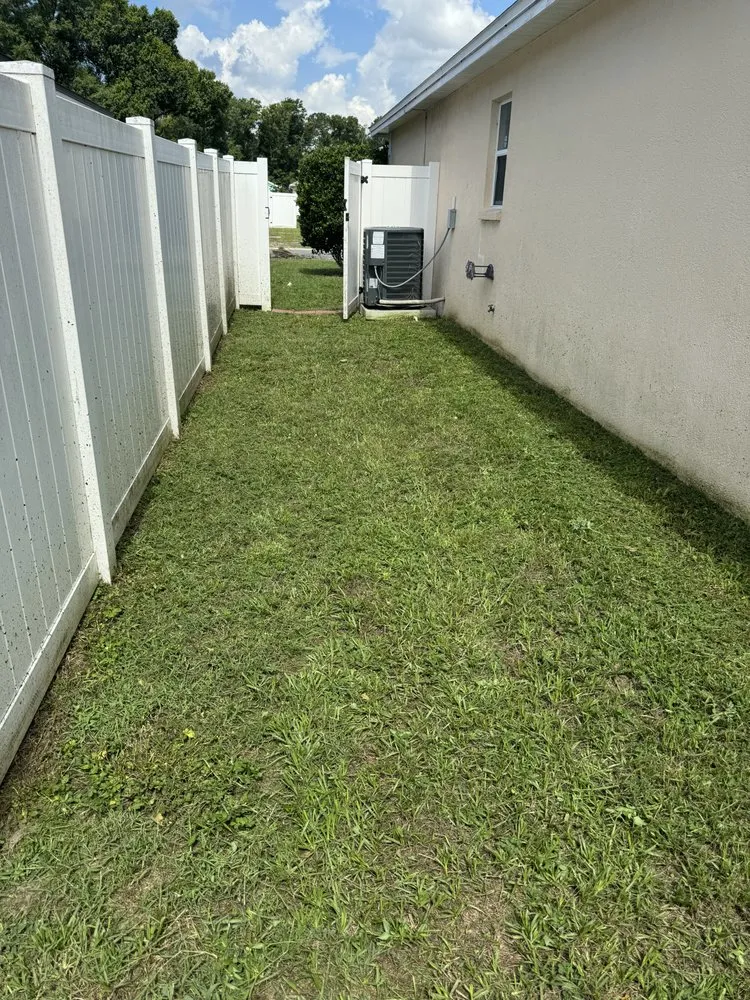 Top-rated landscape installation for year-round maintenance across Auburndale, FL - 4 Step Lawns
