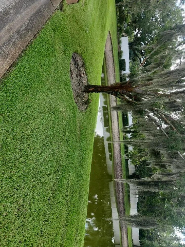 Affordable lawn mowing service for residential properties in Auburndale, FL by 4 Step Lawns