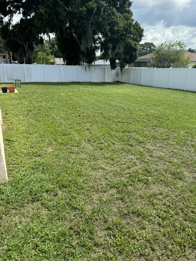 Expert lawn mowing service for homes in Auburndale, FL by 4 Step Lawns