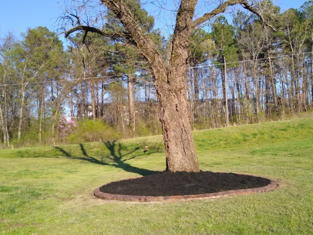 Professional outdoor landscaping for homes in Hot Springs, AR by 4 Suns Landscape & Curbing