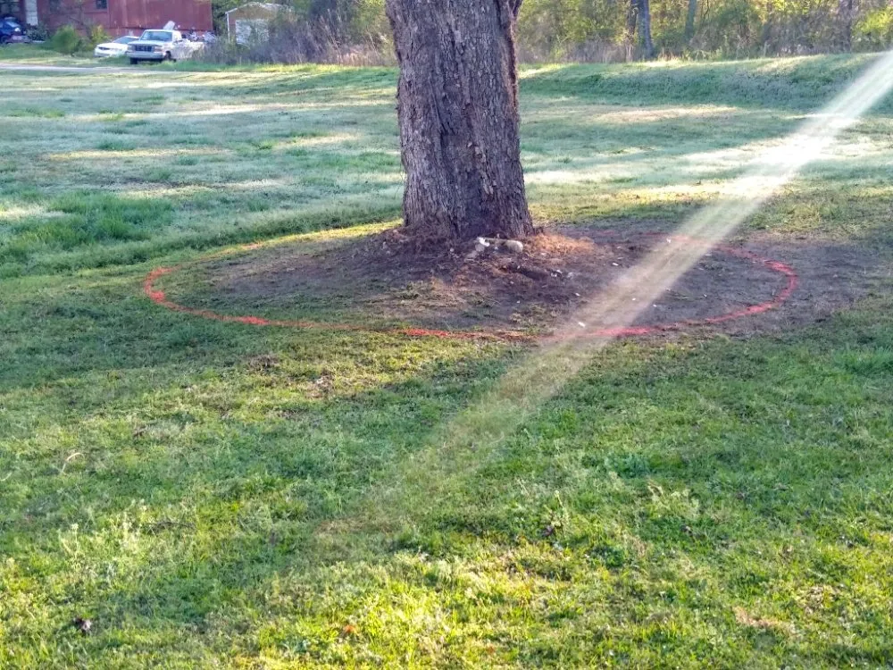 Trusted landscape installation in Hot Springs, AR by 4 Suns Landscape & Curbing