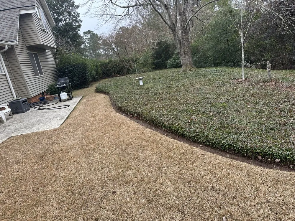 Top-rated landscape design for beautiful yards in Augusta, GA by 4 The People Landscaping
