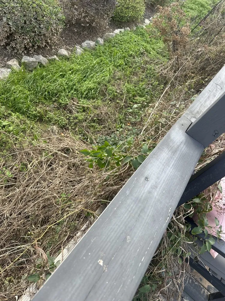 Expert yard cleanup service with custom design in Augusta, GA by 4 The People Landscaping