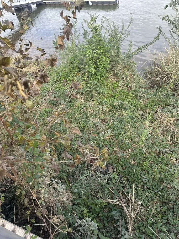 Top-rated landscape installation for residential properties in Augusta, GA by 4 The People Landscaping