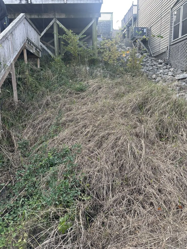 Expert yard maintenance for beautiful yards in Augusta, GA by 4 The People Landscaping