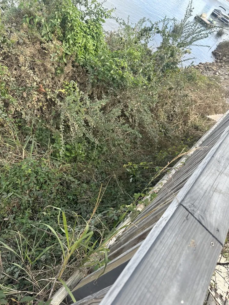 Expert landscape design in Augusta, GA by 4 The People Landscaping