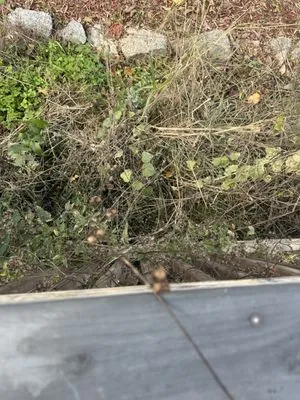 4 The People Landscaping Logo