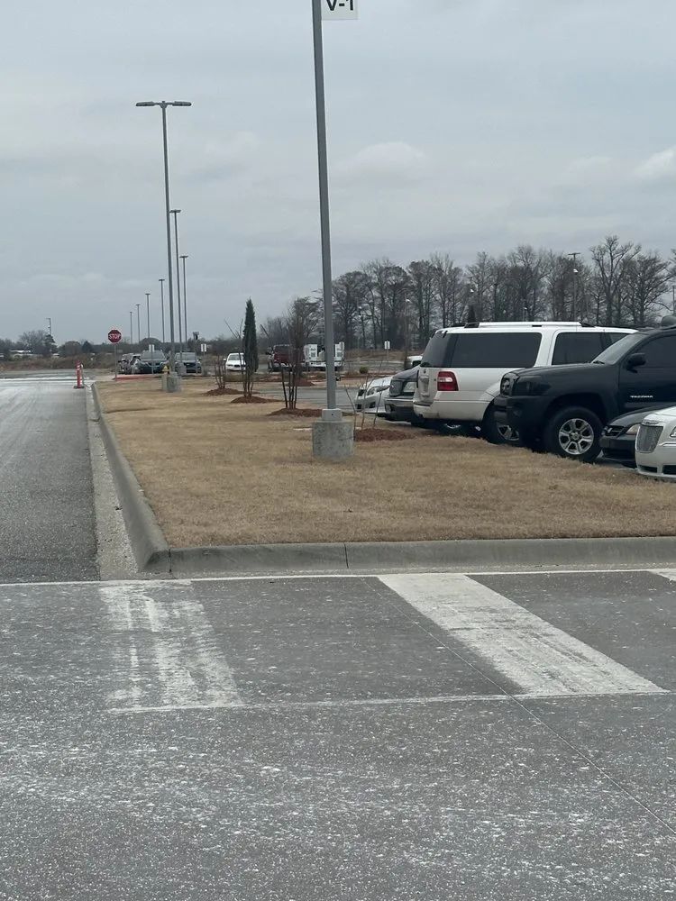 Local lawn care service for outdoor upgrades across Little Rock, AR - 4 Yates Family