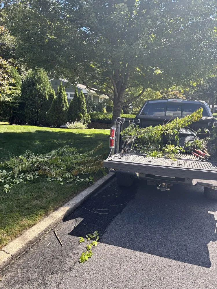 Affordable landscape design in Coventry, RI by 401 Cleanouts