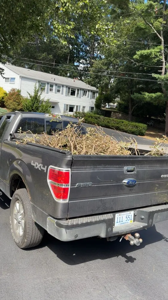 Local garden landscaping in Coventry, RI - 401 Cleanouts