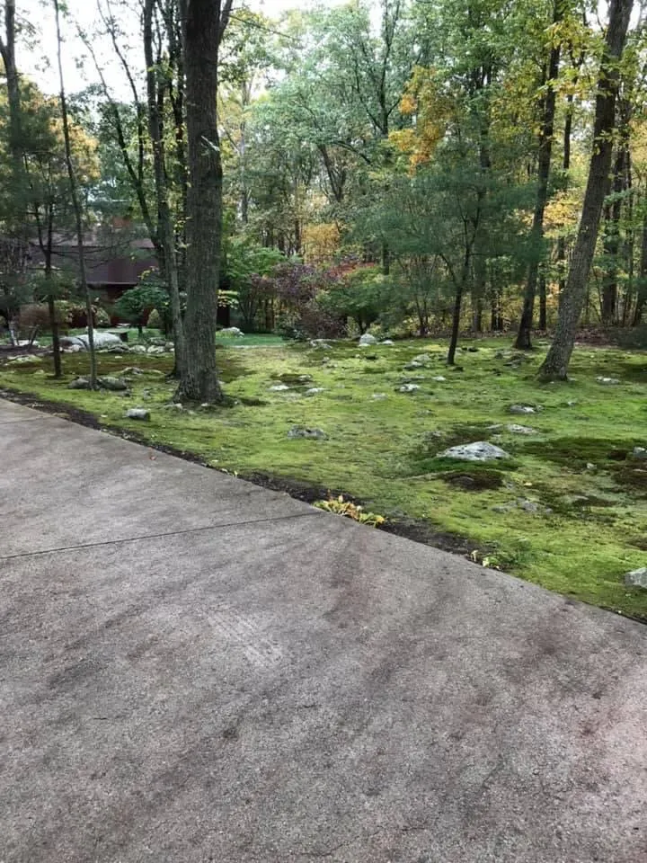 Reliable landscape design experts serving West Warwick, RI - 401 Cuts