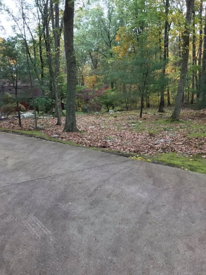 Local landscaping services experts serving West Warwick, RI - 401 Cuts