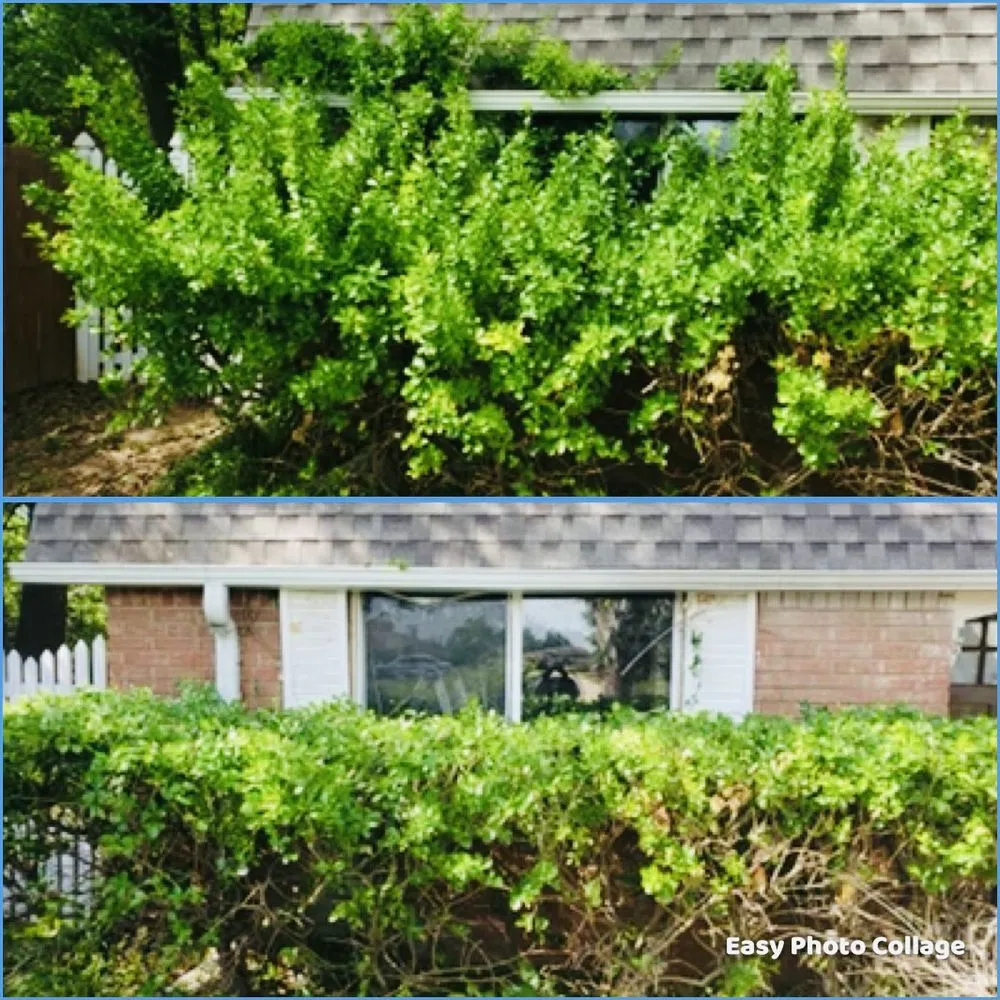 Expert landscape installation in Norman, OK by 405 Lawn Solutions